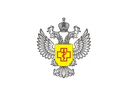 Сезон клубники начался: все, что вам нужно знать перед покупкой
