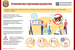 28 сентября ежегодно отмечается Всемирный день борьбы с бешенством